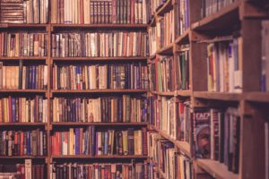 Bookshelves filled with diverse books in a cozy indoor library setting, showcasing a rich variety of literature.